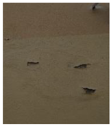 Buildings 11 00615 i022