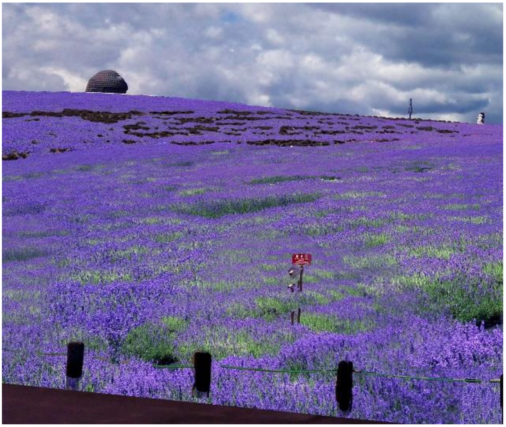 Buildings 12 00003 g030