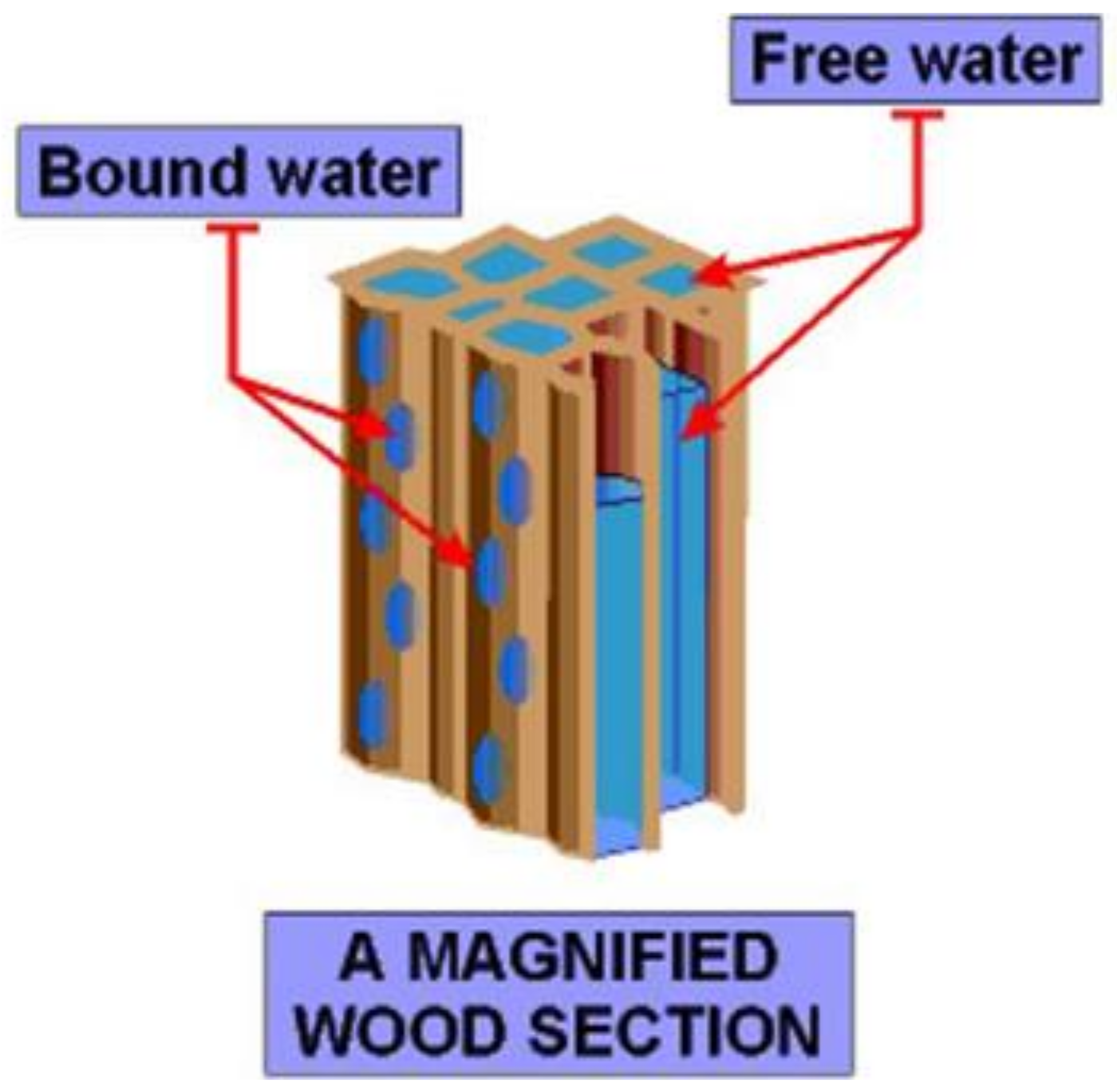 Buildings 12 00152 g008