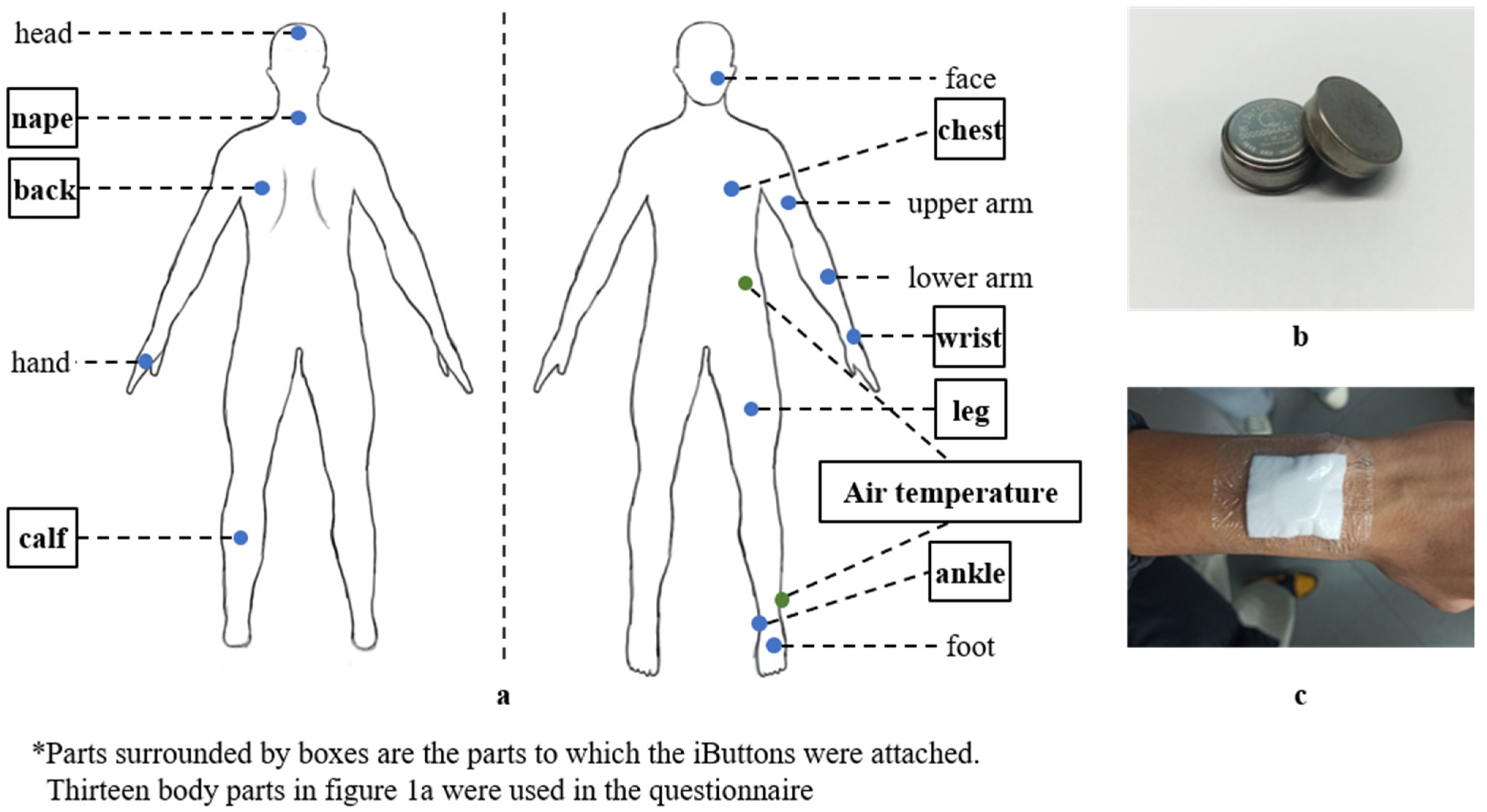 Buildings 12 00170 g001