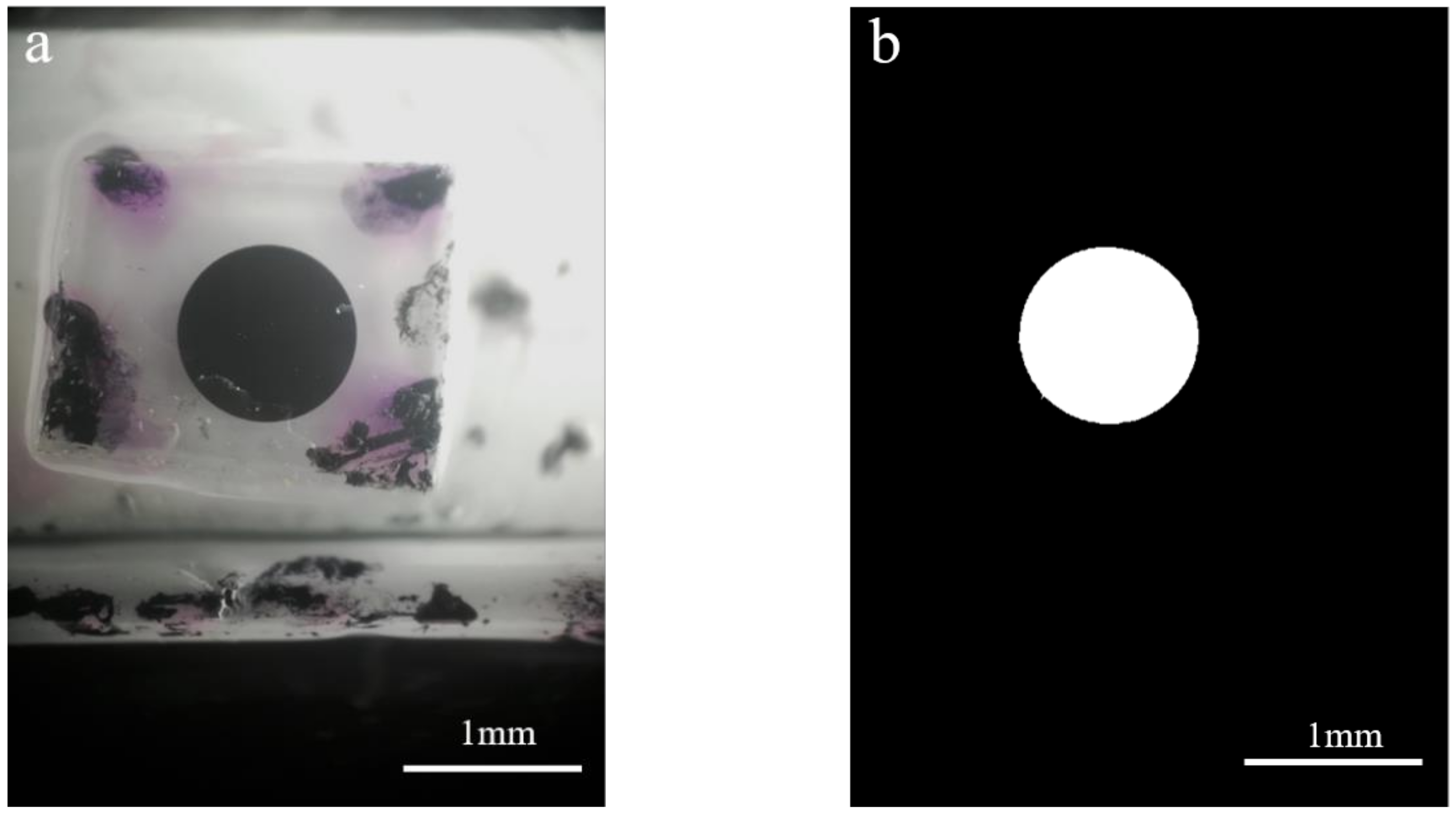 Buildings 12 00212 g005