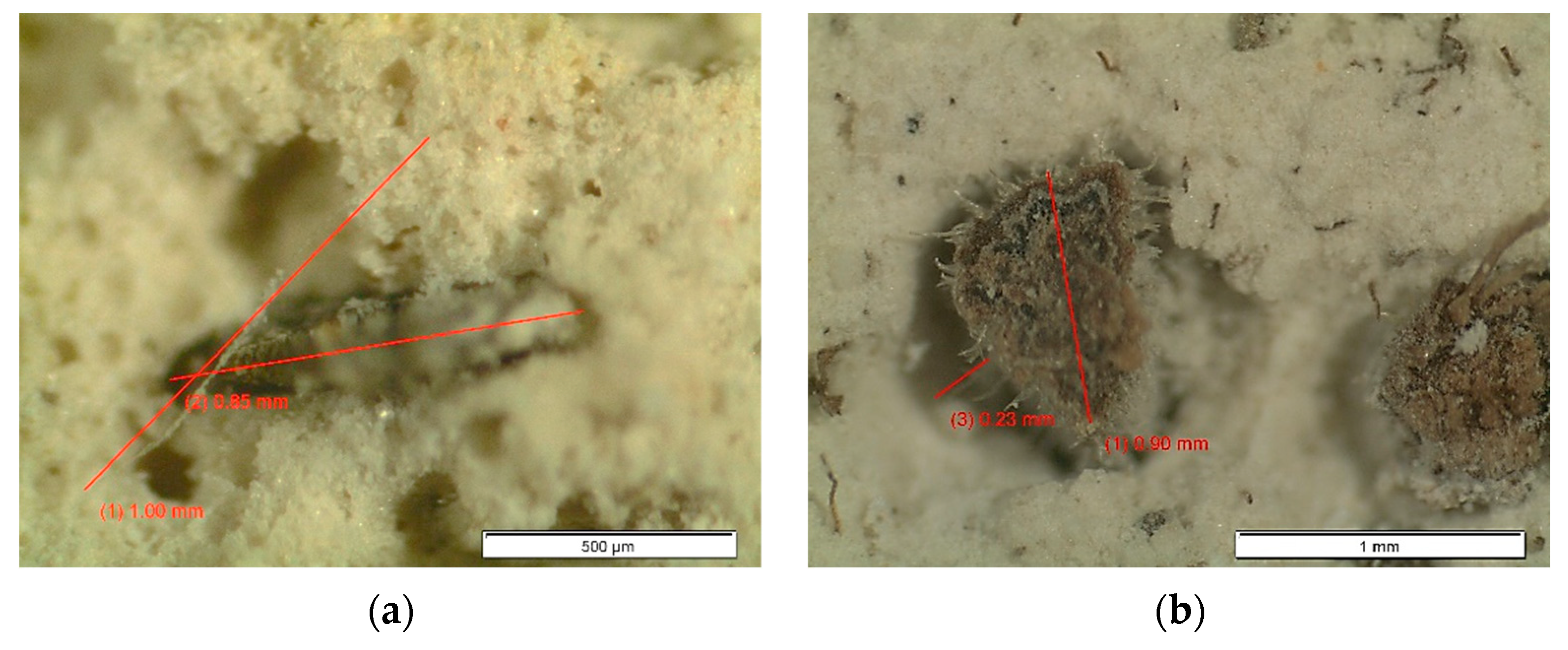 Buildings 12 00339 g009