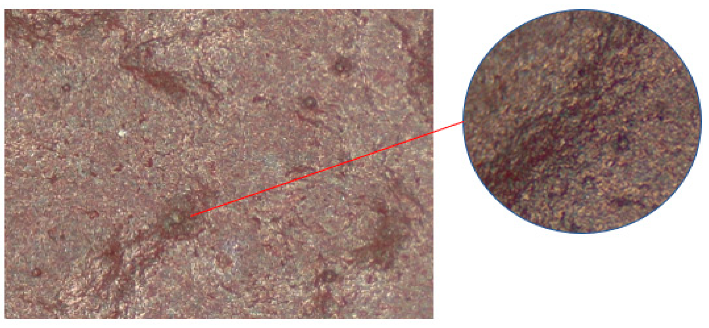 Buildings 12 00477 g016