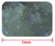 Buildings 12 00509 i007