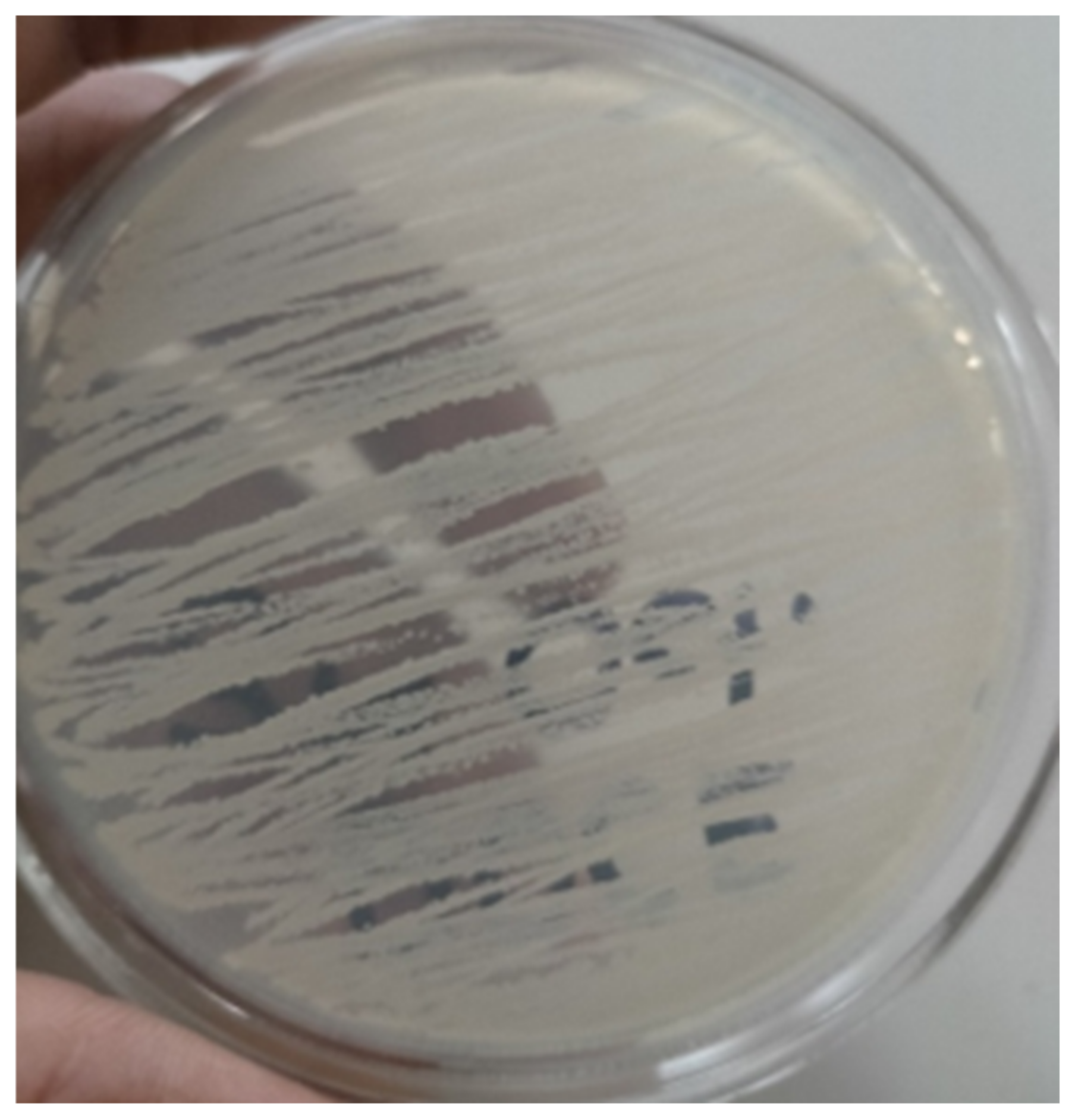 Buildings 12 00993 g001