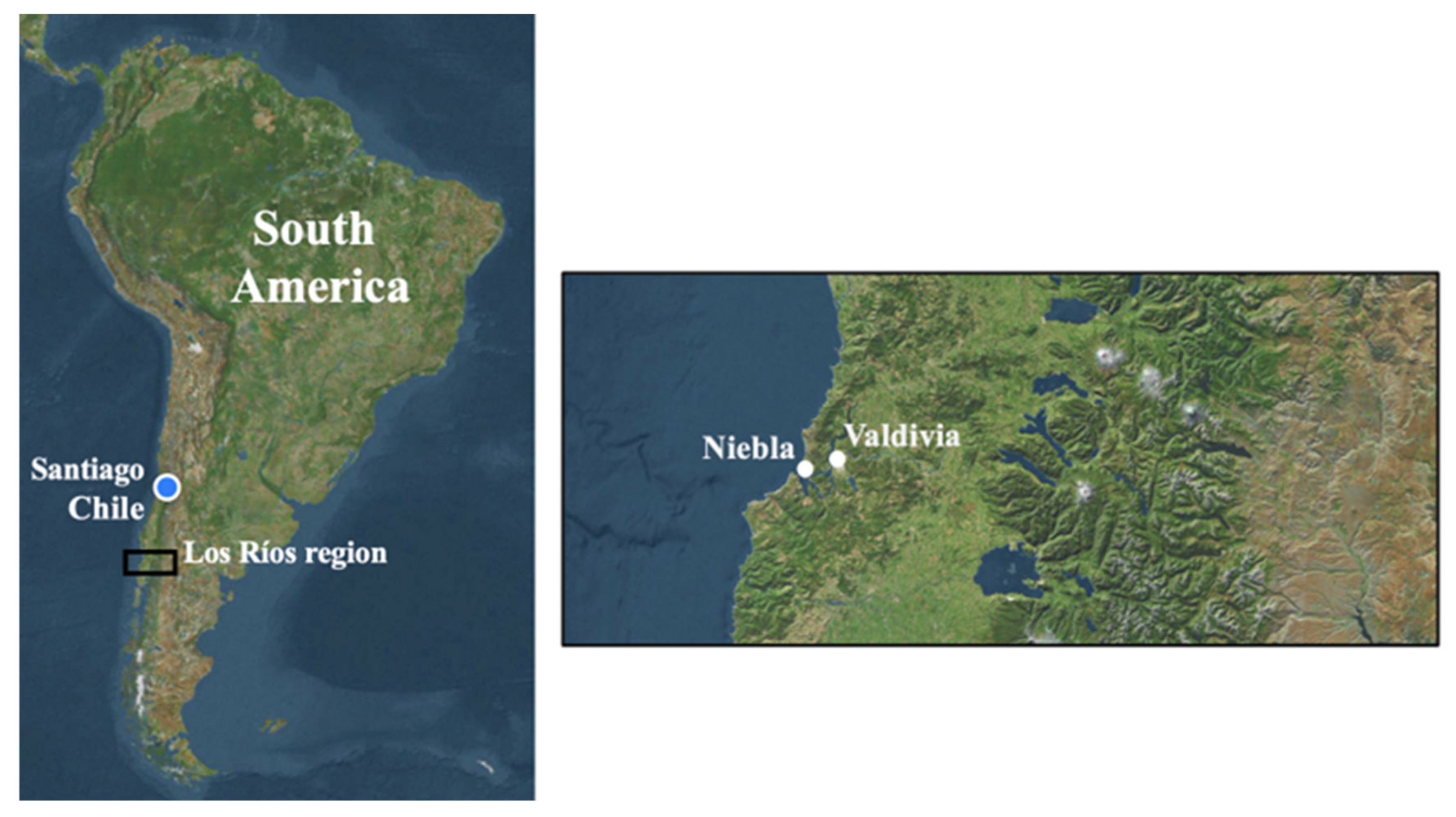 Buildings 12 01299 g002