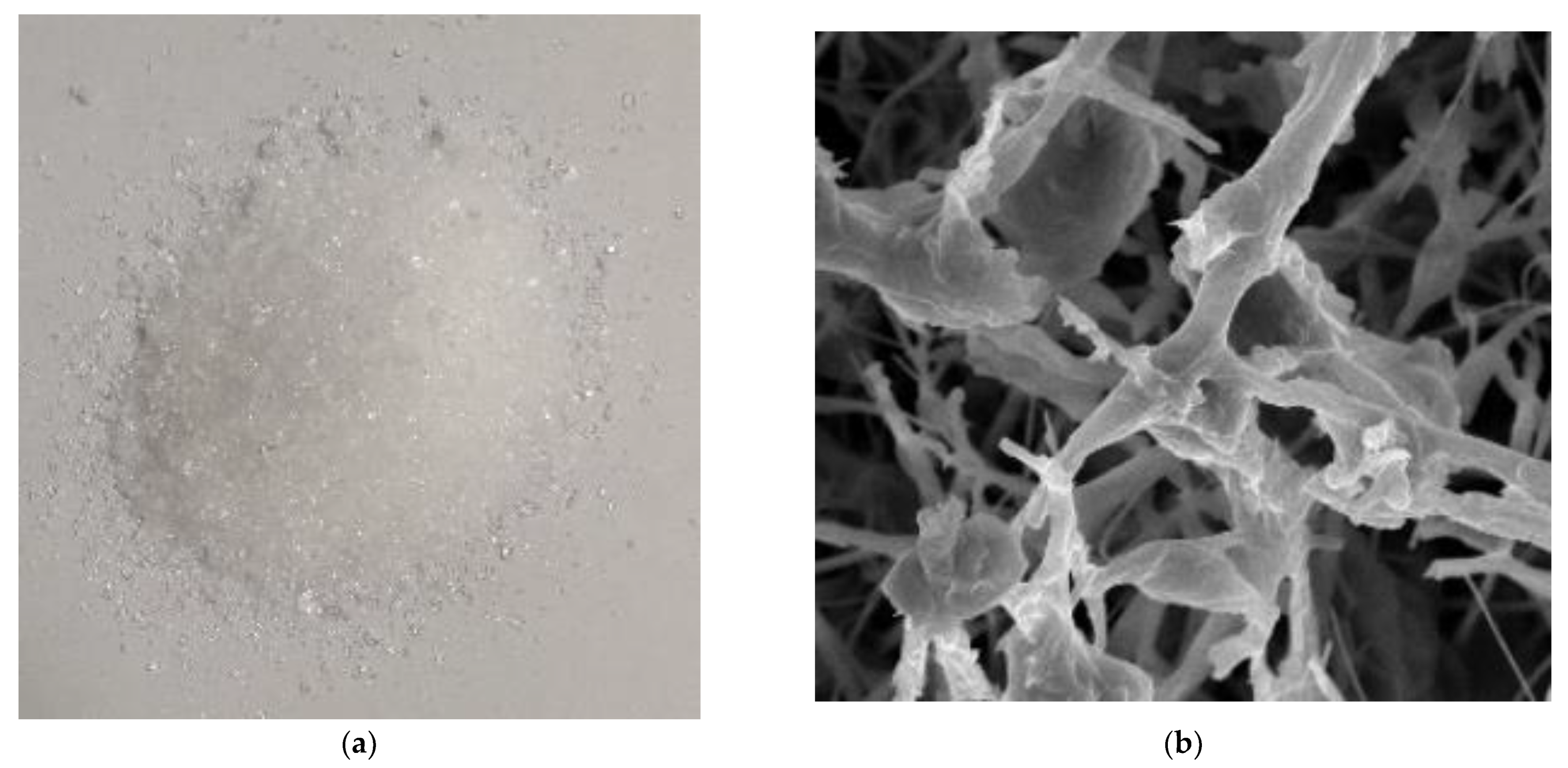 Buildings 12 01376 g002