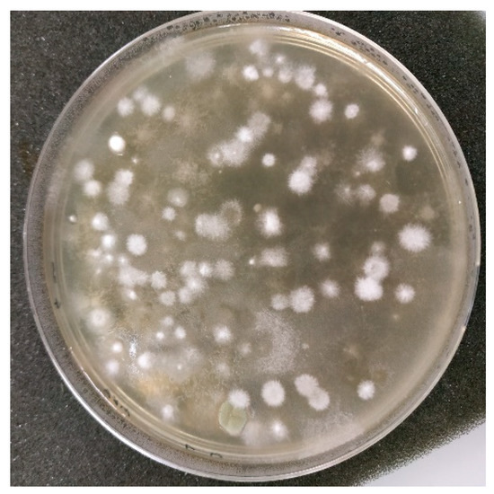 Buildings 12 01475 g0a1