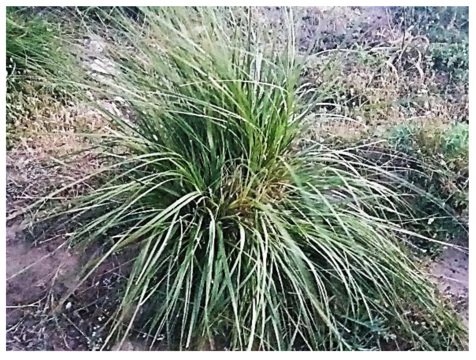 Buildings 12 01770 g001