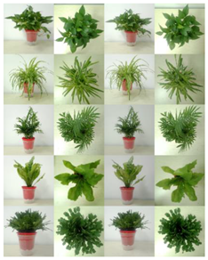 Buildings 12 01848 i002