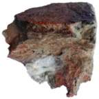 Buildings 13 00161 i001