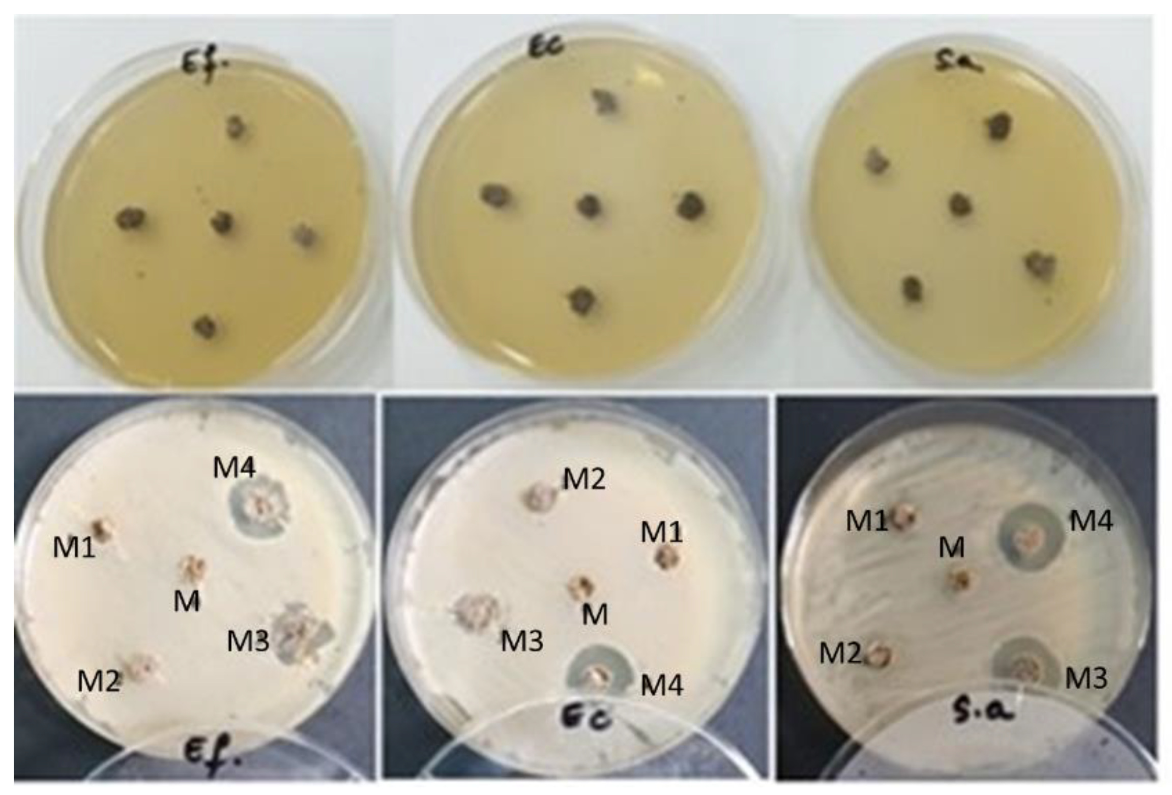 Buildings 13 00172 g003