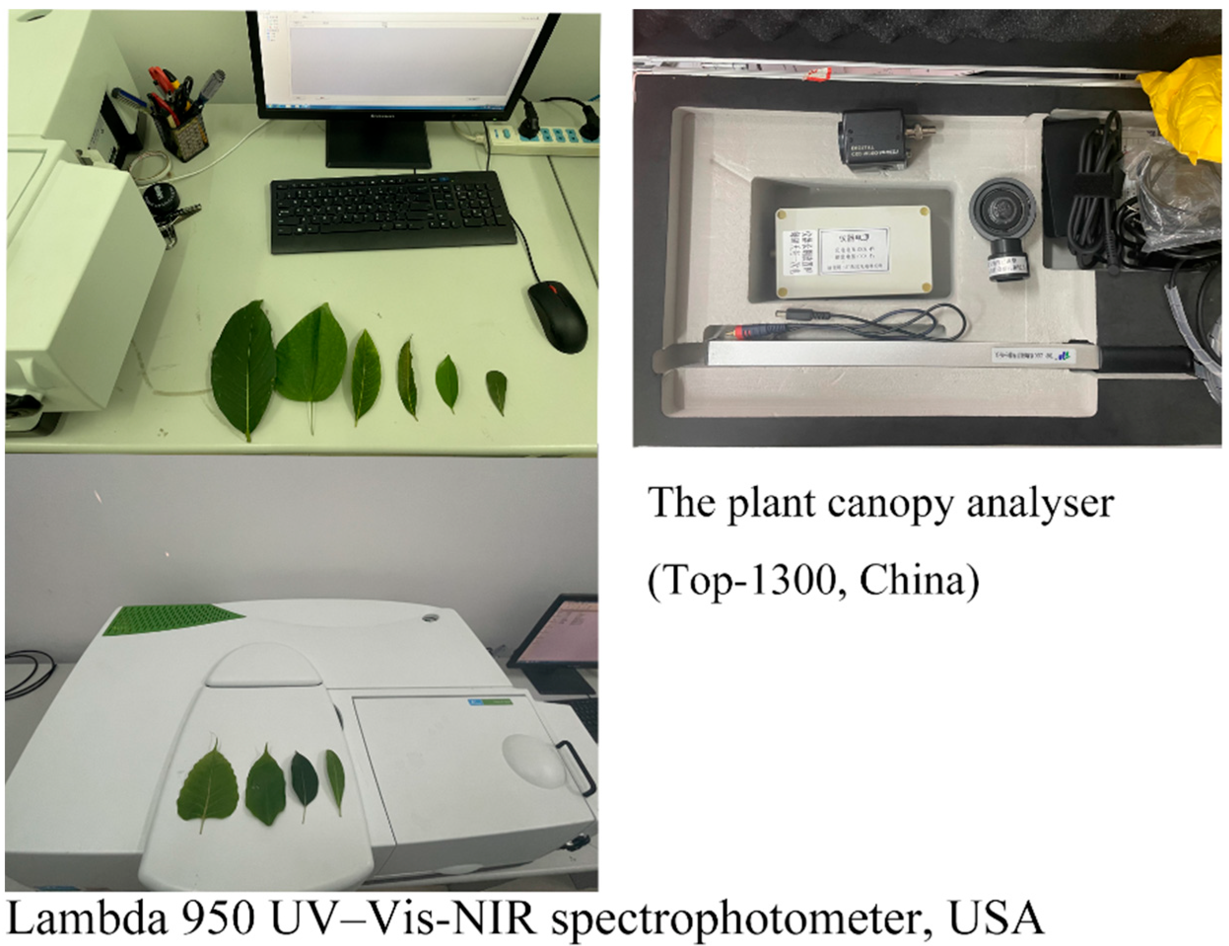 Buildings 13 00214 g005 Buildings 13 00214 g005