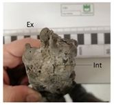 Buildings 13 00232 i005 Buildings 13 00232 i005