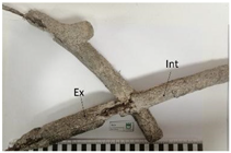 Buildings 13 00232 i008 Buildings 13 00232 i008