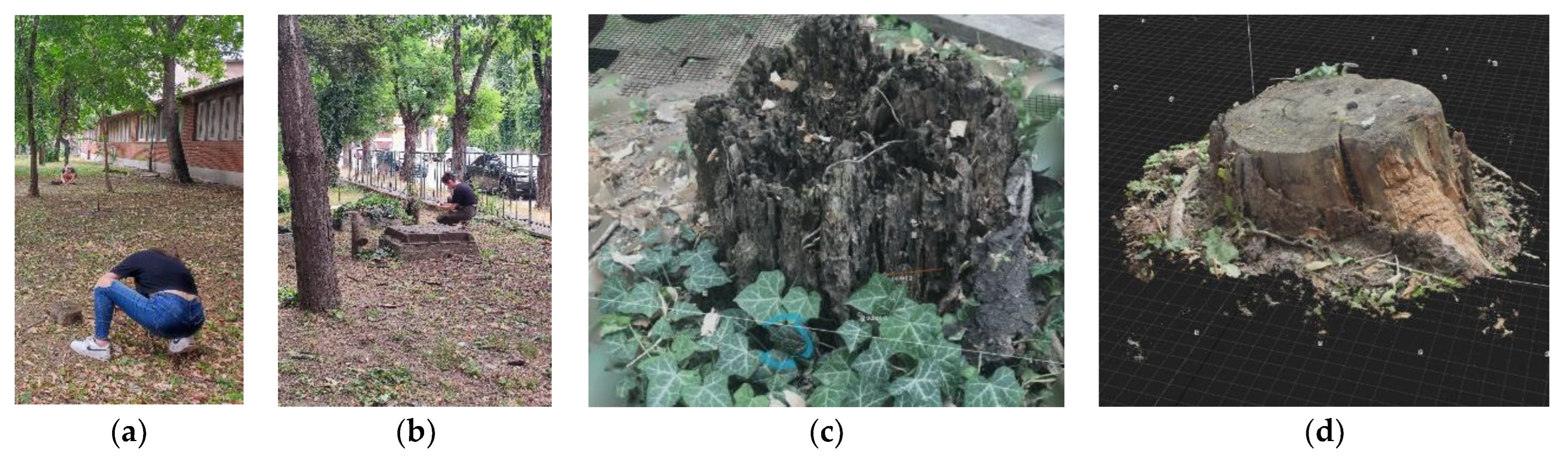 Buildings 13 00319 g005 Buildings 13 00319 g005