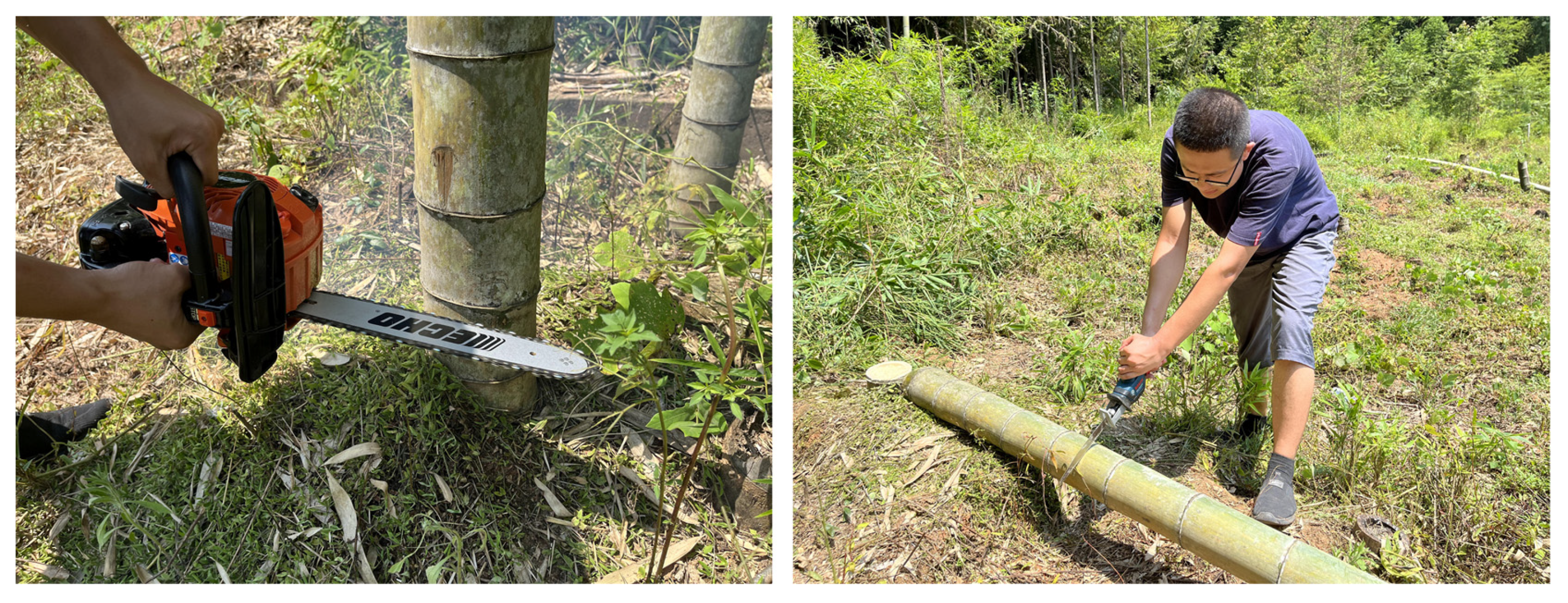 Buildings 13 00365 g001