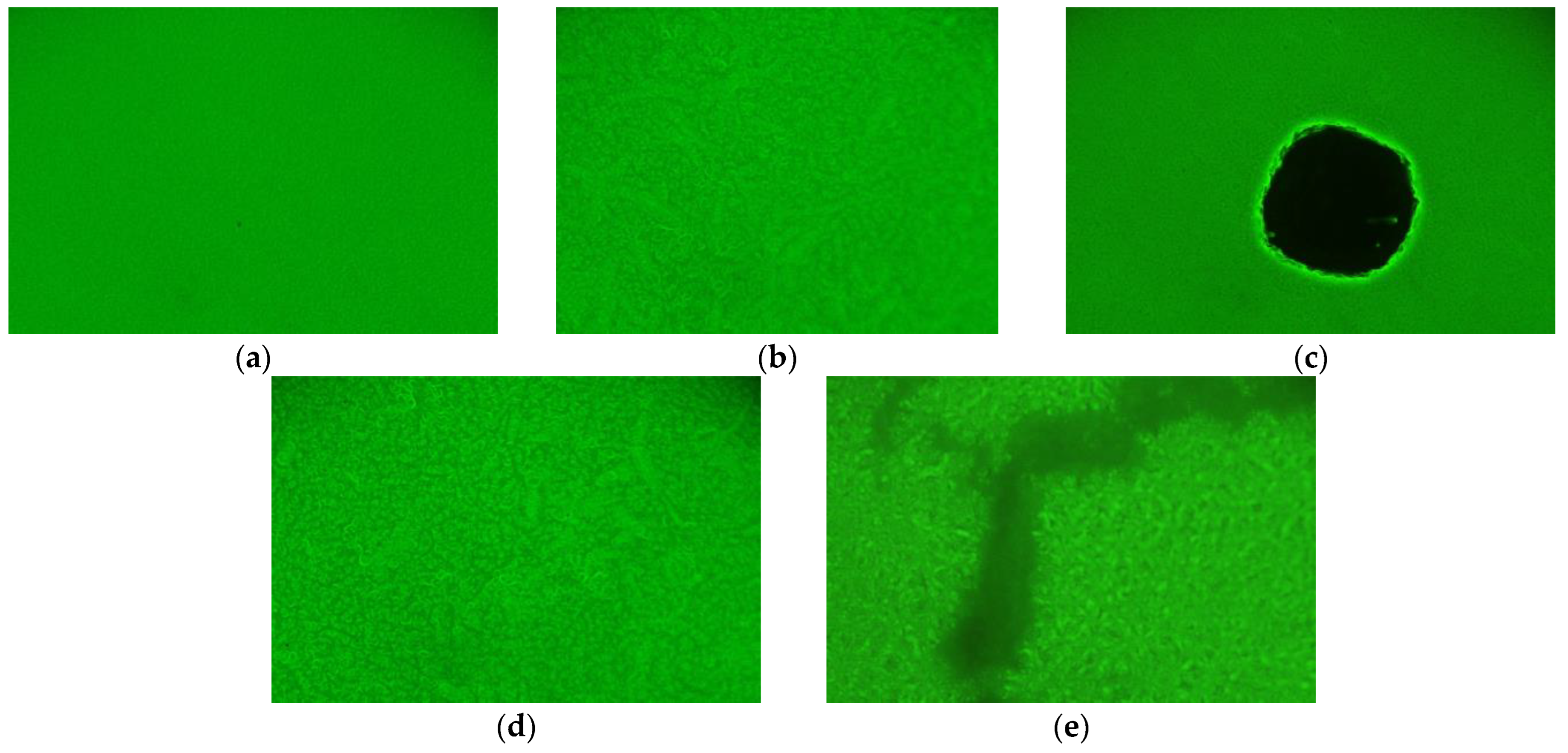 Buildings 13 00514 g009