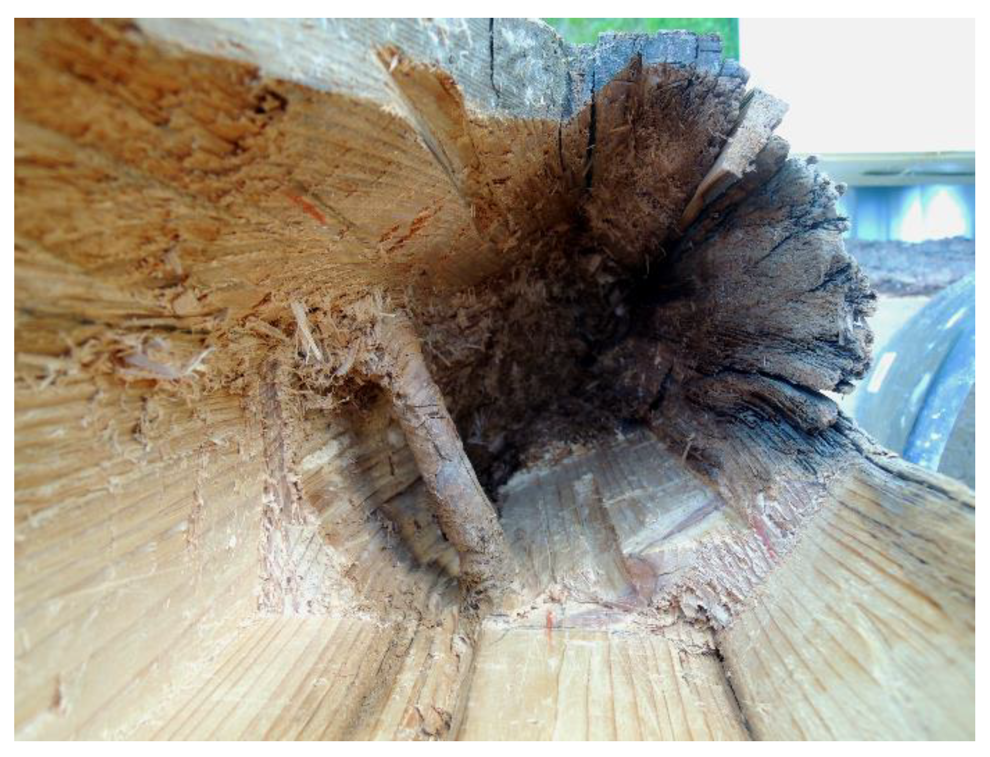 Buildings 13 00550 g016