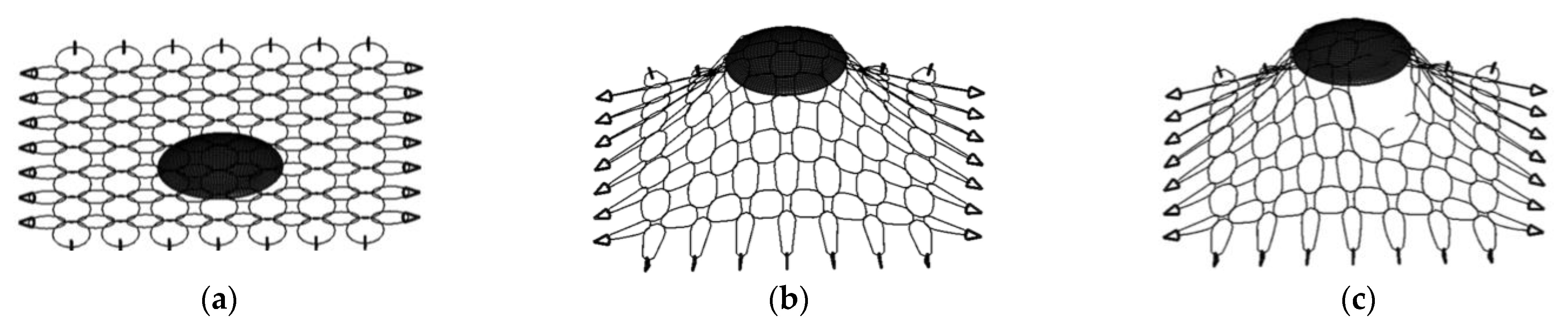 Buildings 13 00588 g011