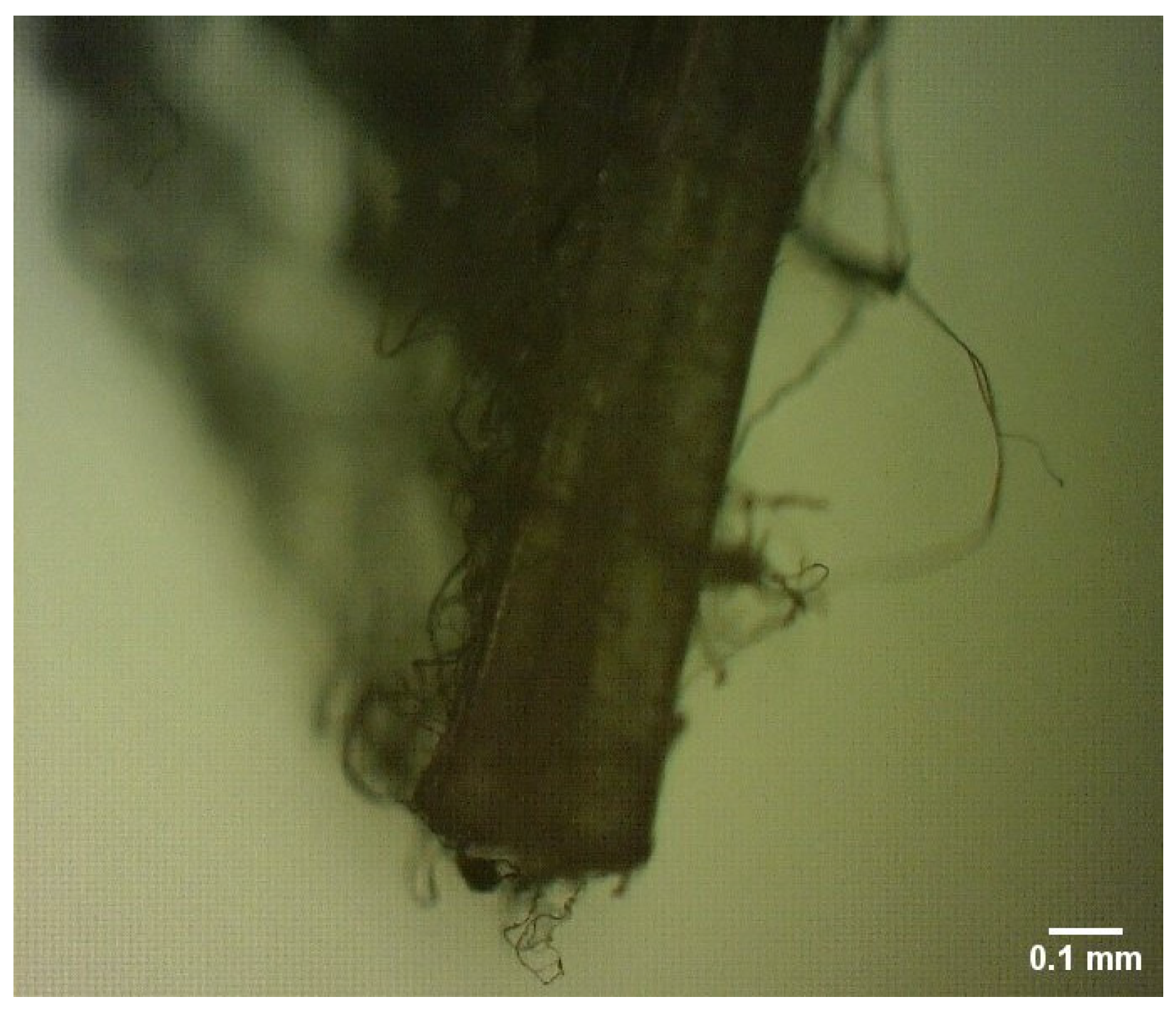 Buildings 13 00642 g007