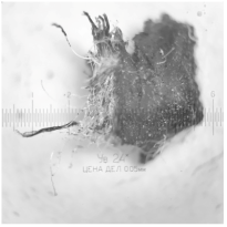 Buildings 13 00897 i002 Buildings 13 00897 i002