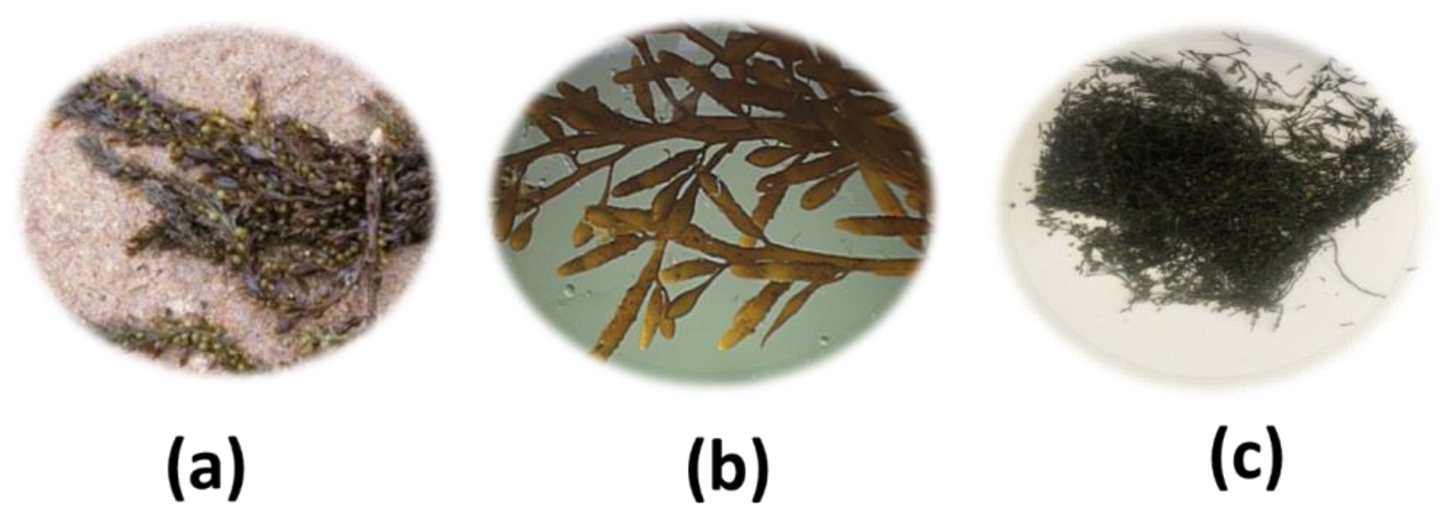 Buildings 13 00932 g001 Buildings 13 00932 g001