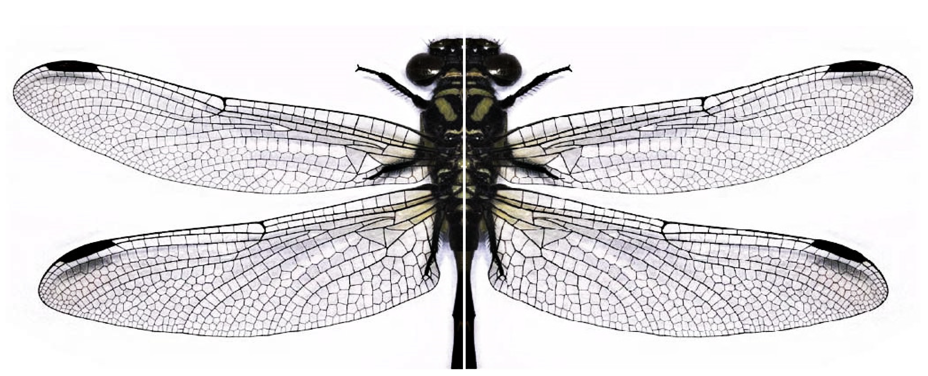 Buildings 13 01071 g001