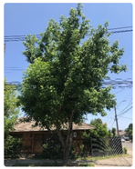 Buildings 13 01130 i003