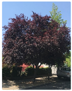 Buildings 13 01130 i005