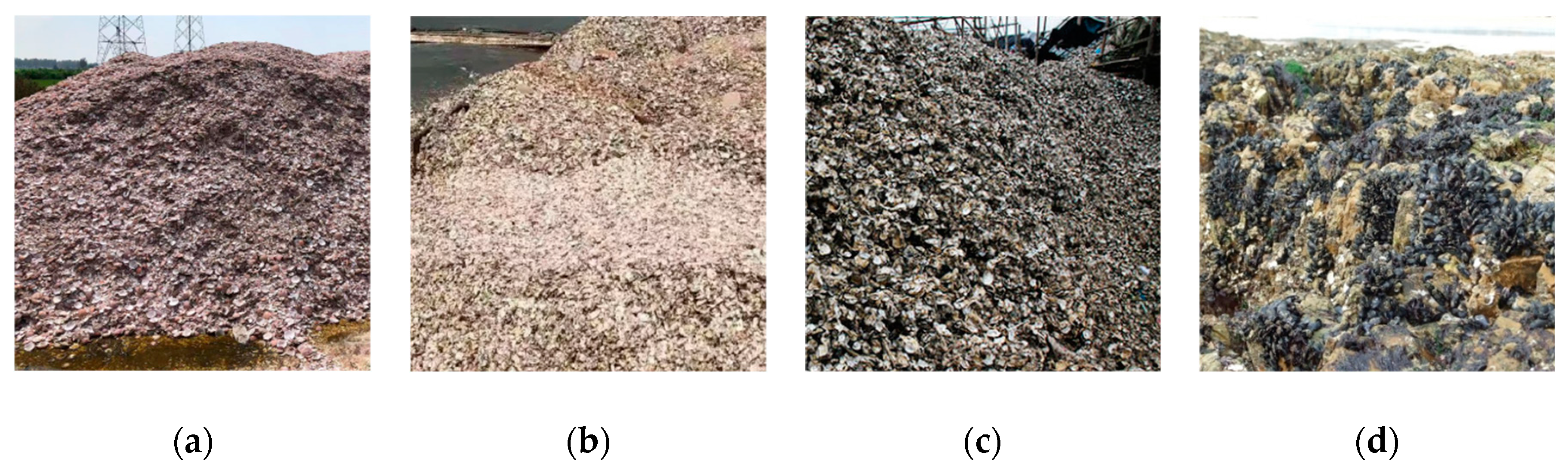 Buildings 13 01289 g001