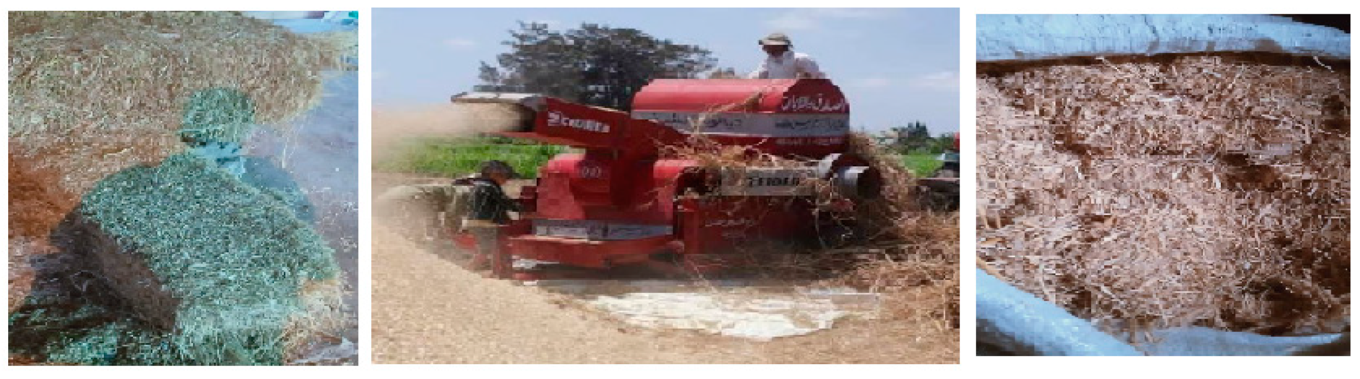 Buildings 13 01350 g001