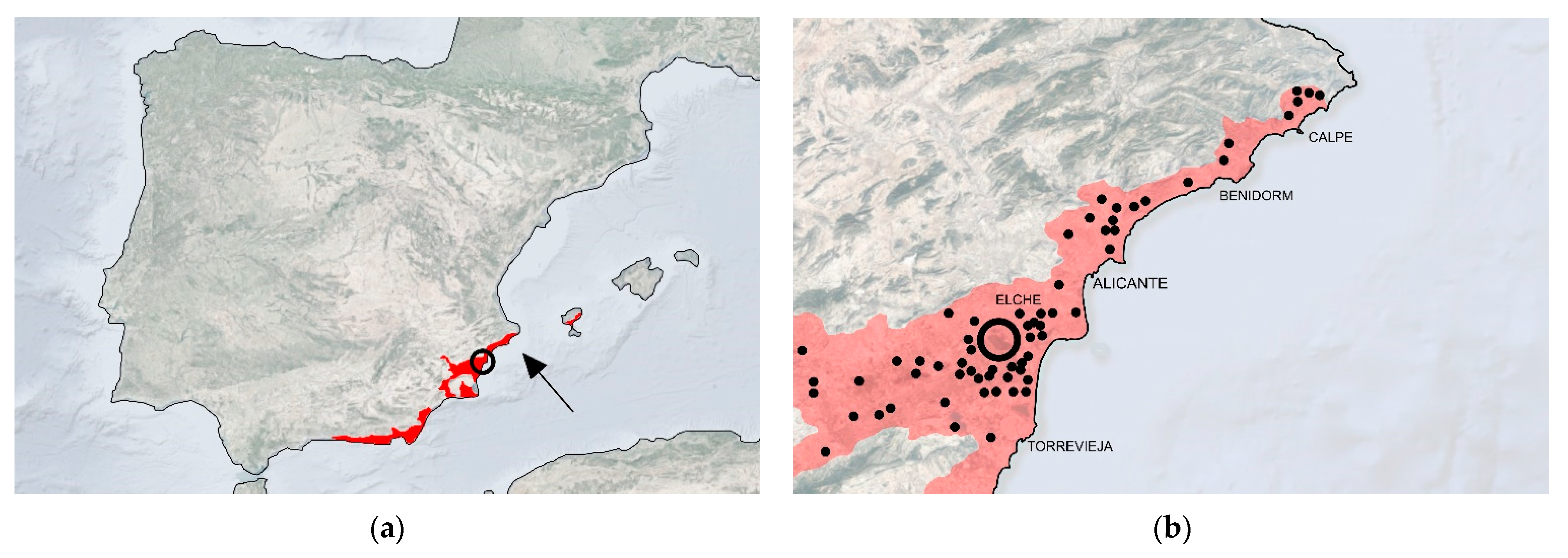 Buildings 13 01381 g003