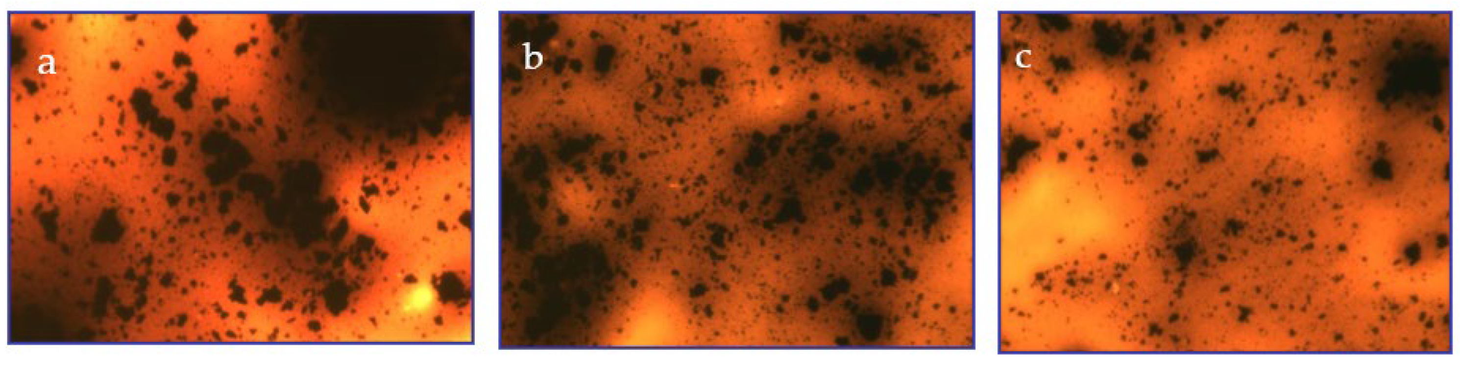 Buildings 13 01451 g013