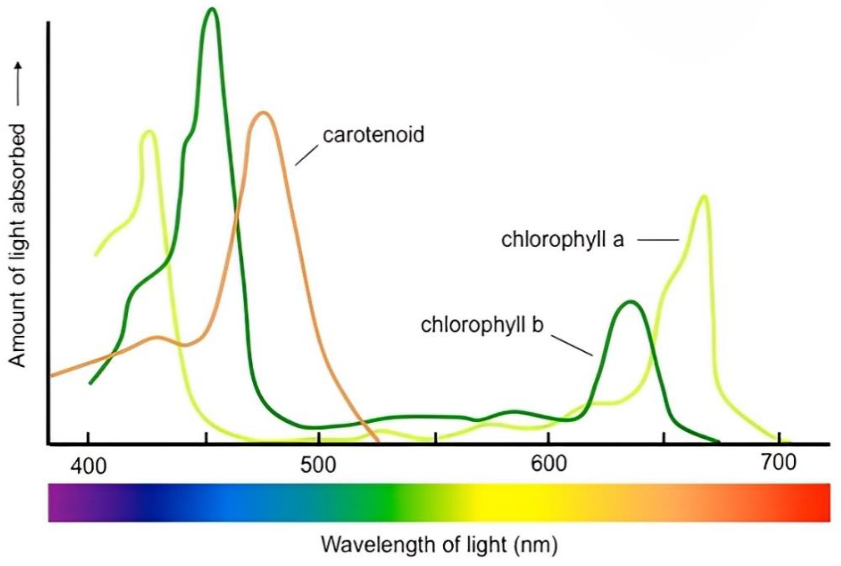 Buildings 13 01482 g001