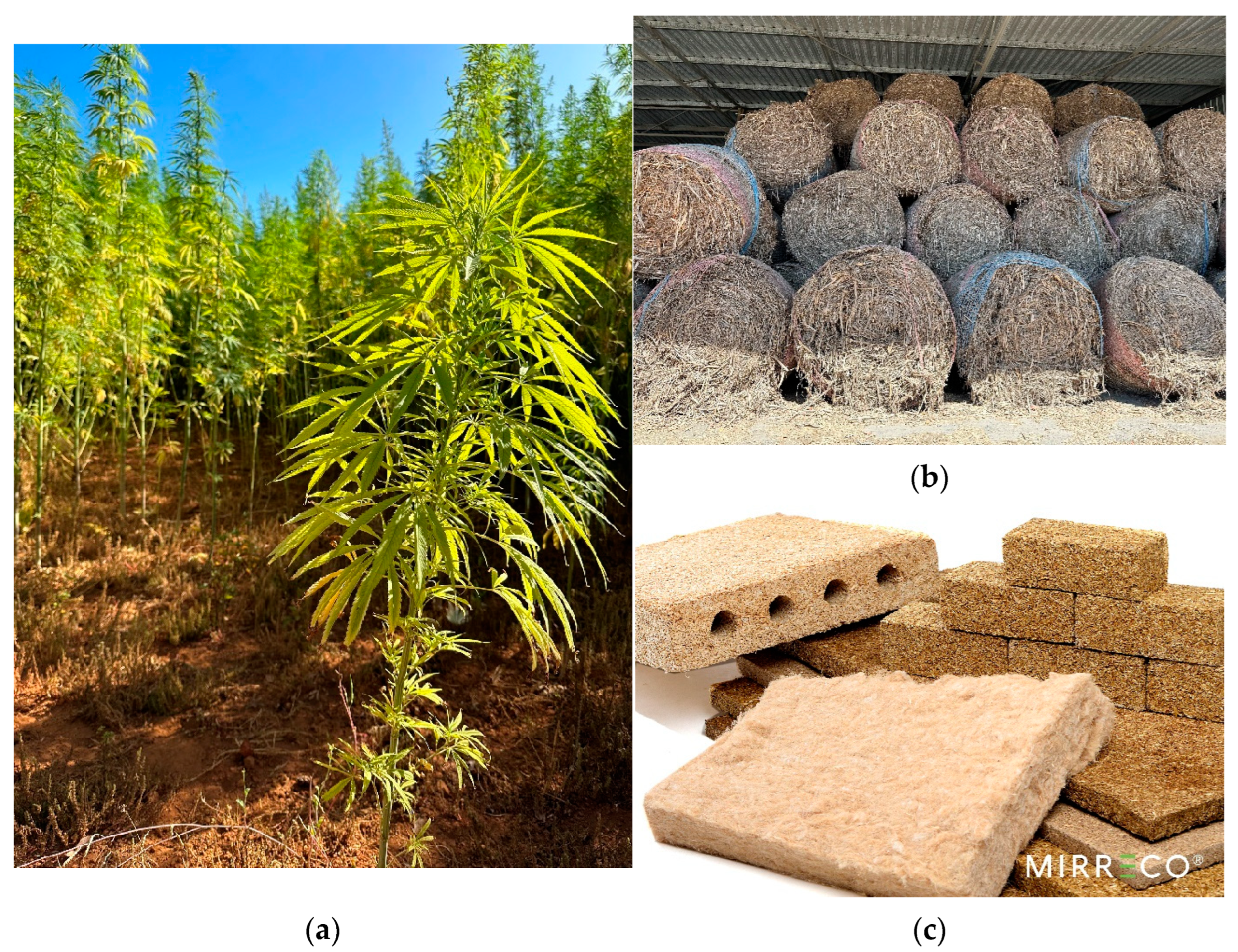 Buildings 13 01504 g003