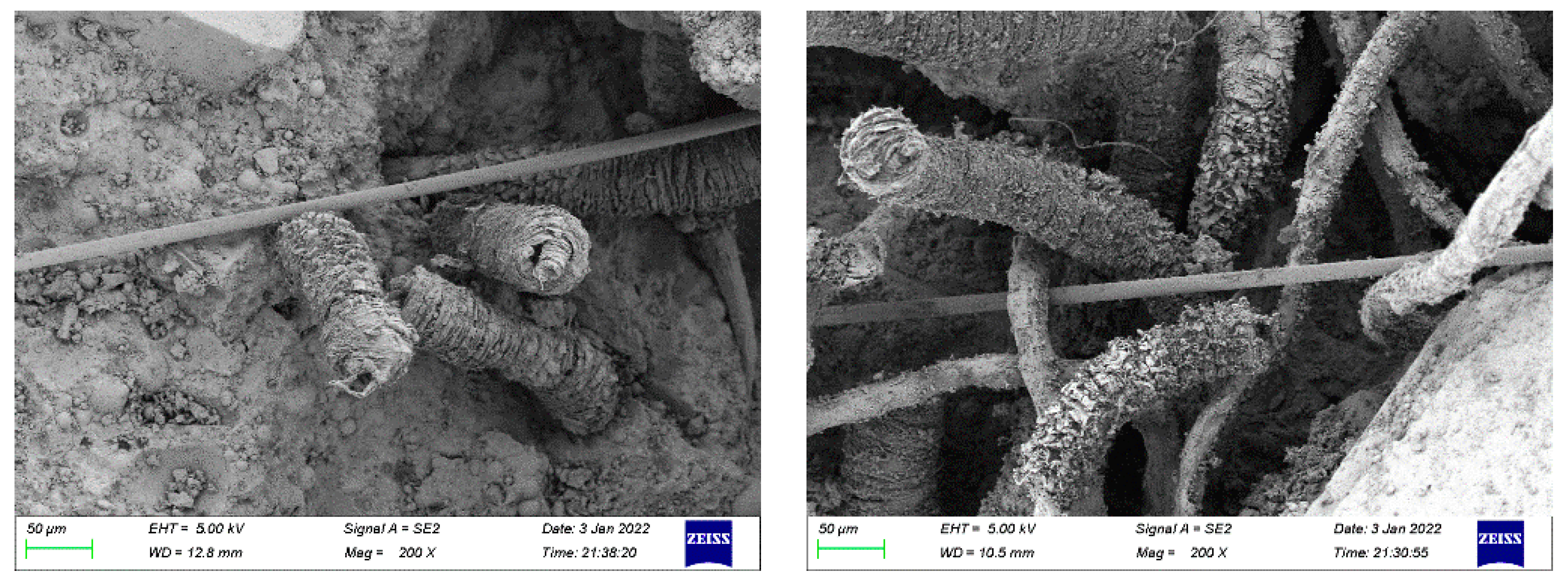 Buildings 13 01522 g005