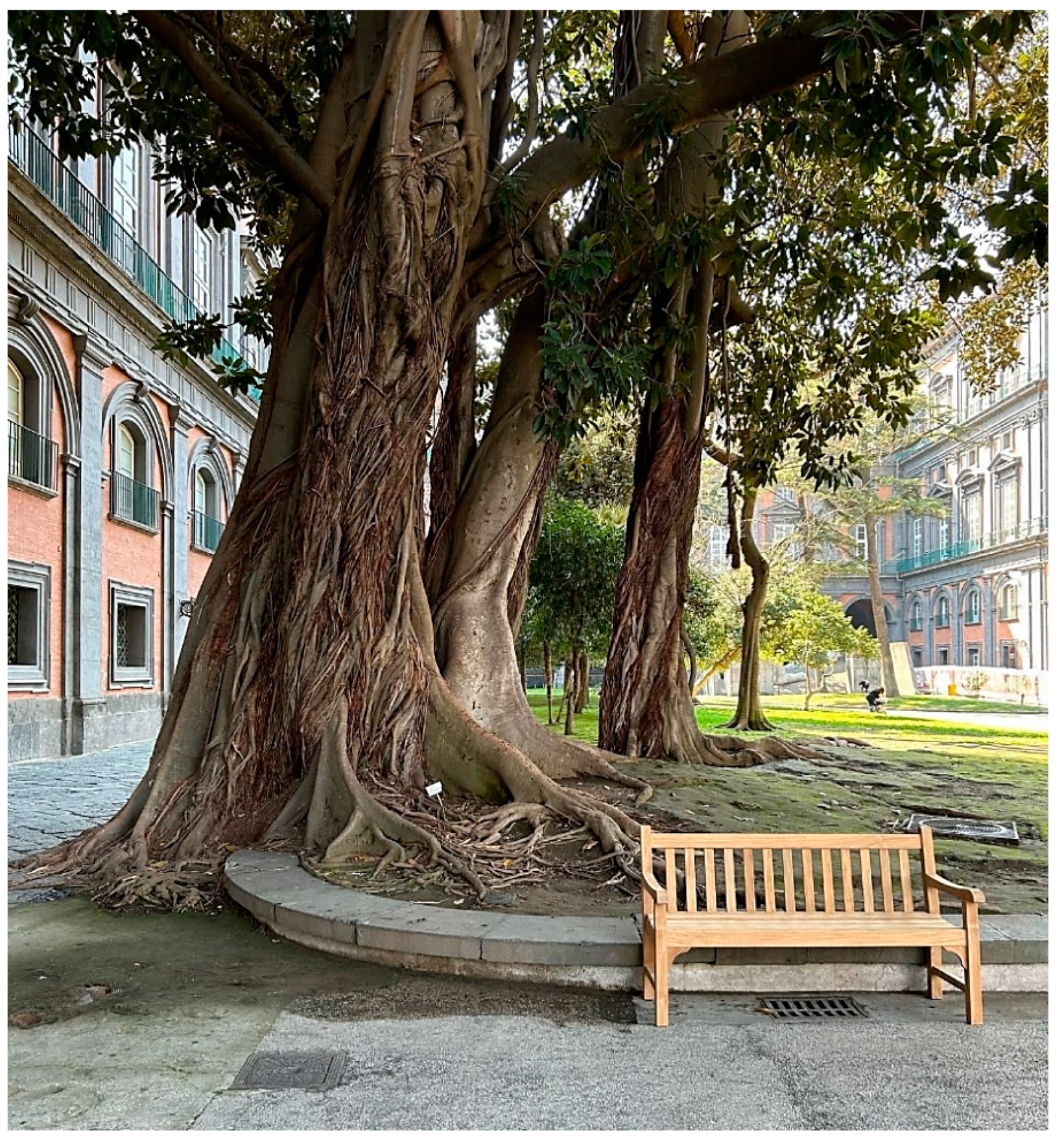 Buildings 13 01548 g001