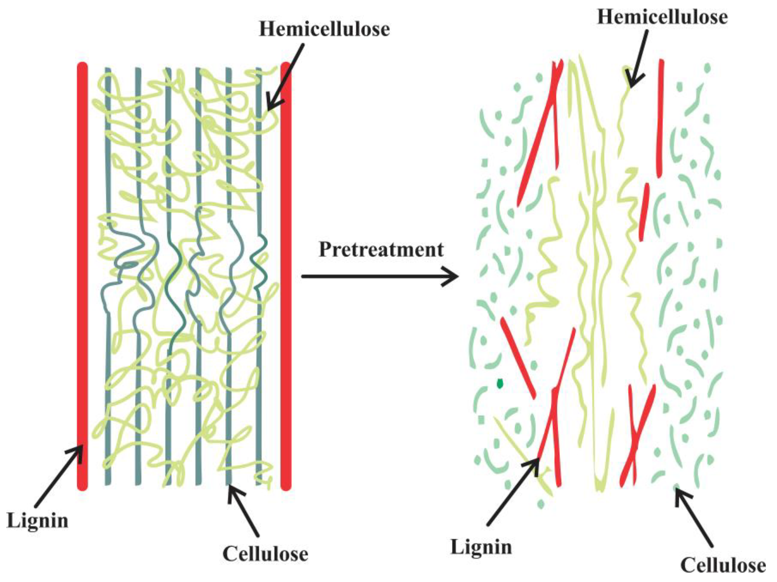 Buildings 13 01573 g003