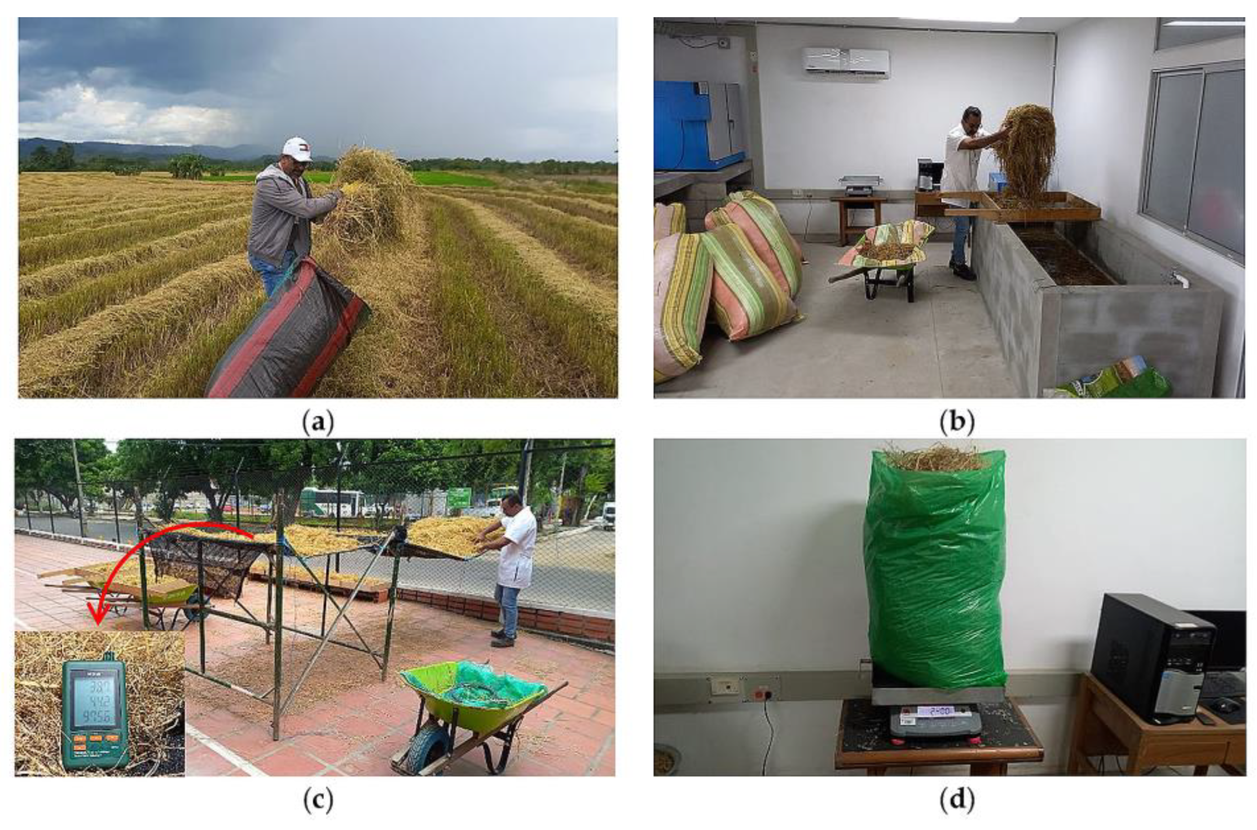 Buildings 13 01573 g004