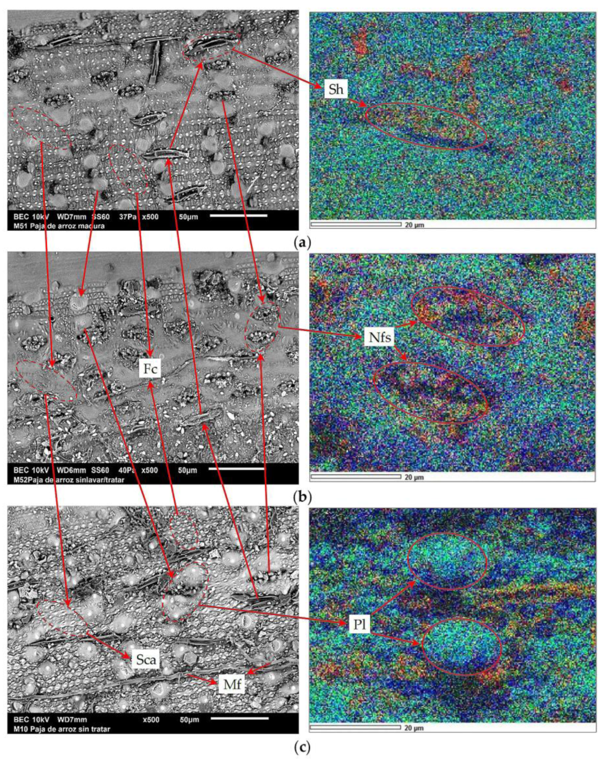 Buildings 13 01573 g010