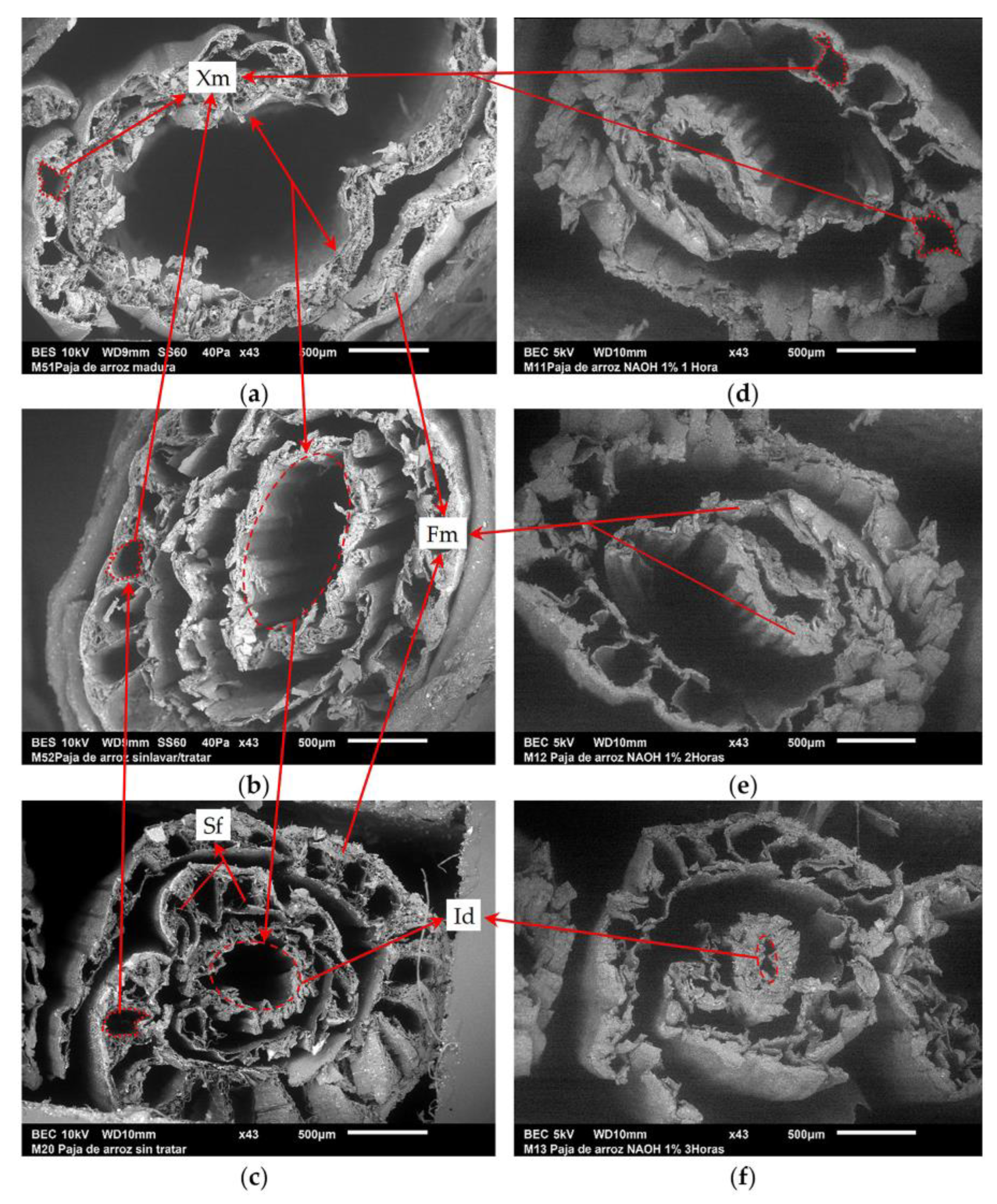 Buildings 13 01573 g014