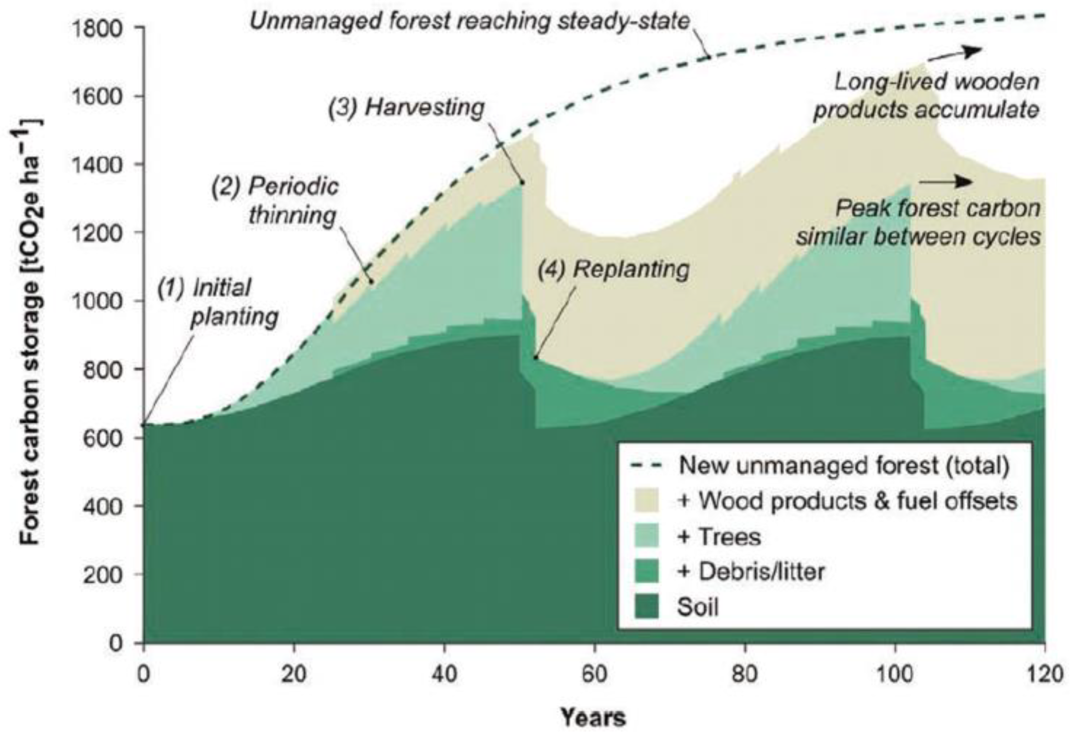 Buildings 13 01722 g004