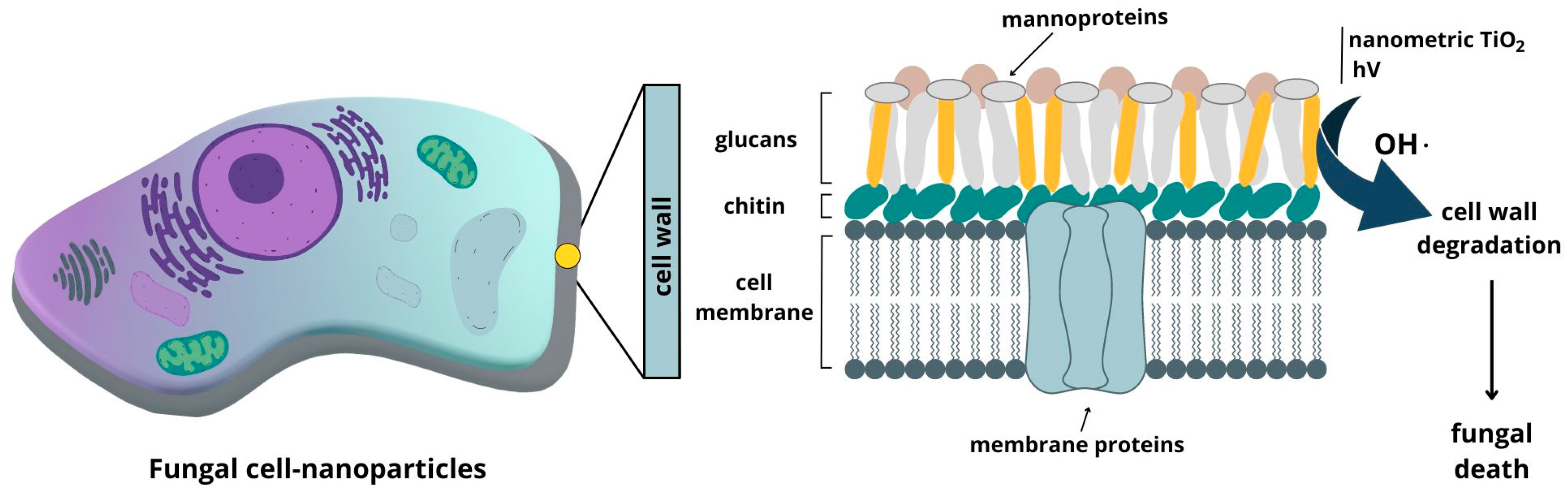 Buildings 13 01736 g005