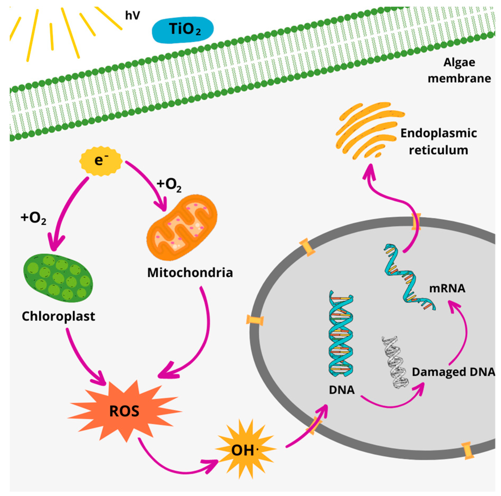 Buildings 13 01736 g006