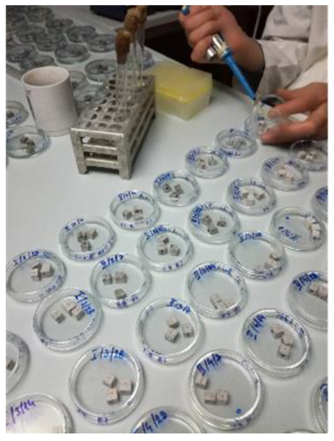 Buildings 13 01751 g002