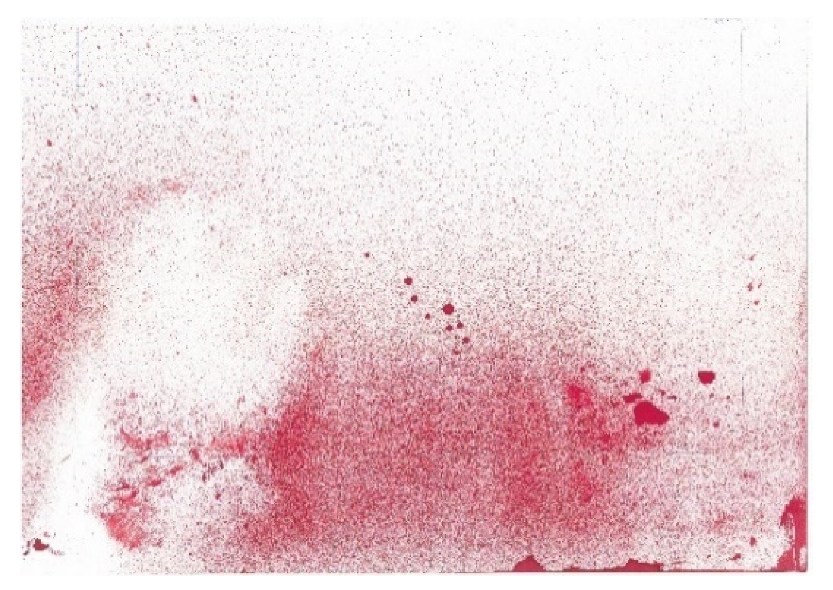 Buildings 13 01869 g006