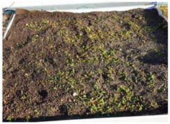 Buildings 13 02058 i001