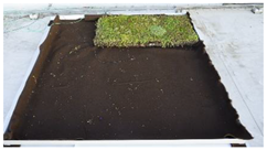 Buildings 13 02058 i002