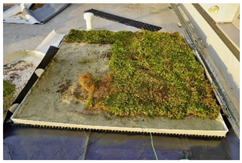 Buildings 13 02058 i003